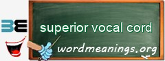 WordMeaning blackboard for superior vocal cord